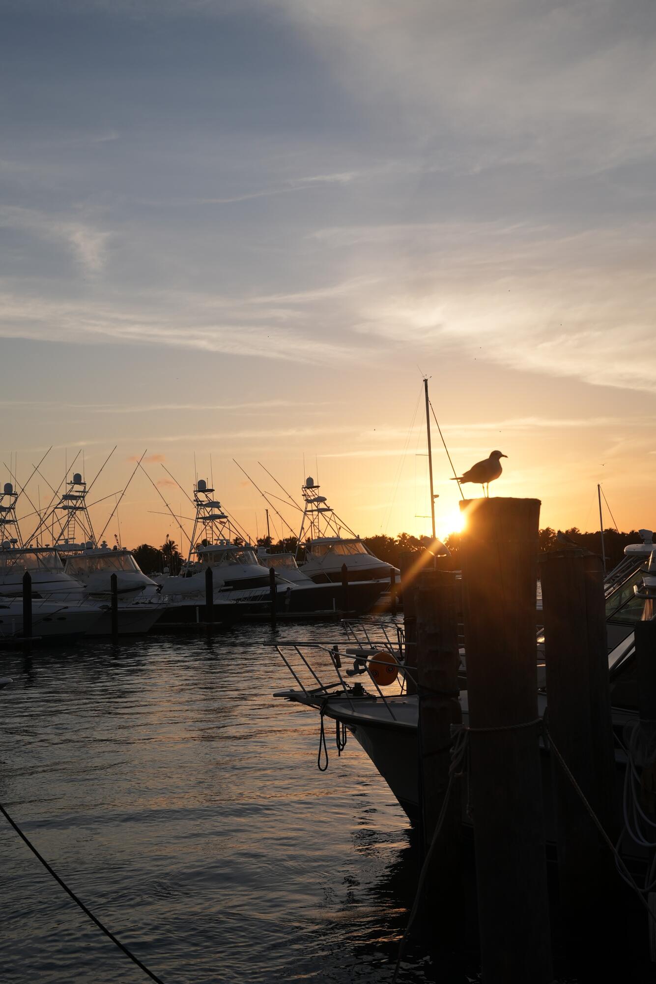 184 Lake Drive 2-104, Palm Beach Shores Unit: 2-104