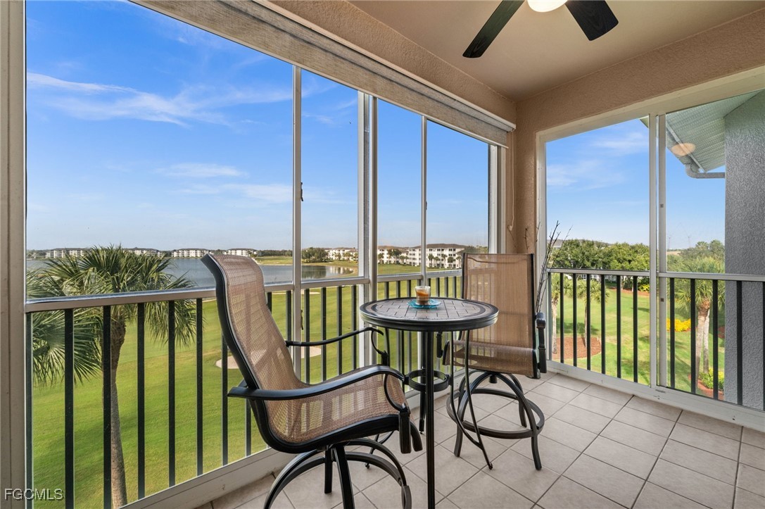 10370 Washingtonia Palm WAY 4345