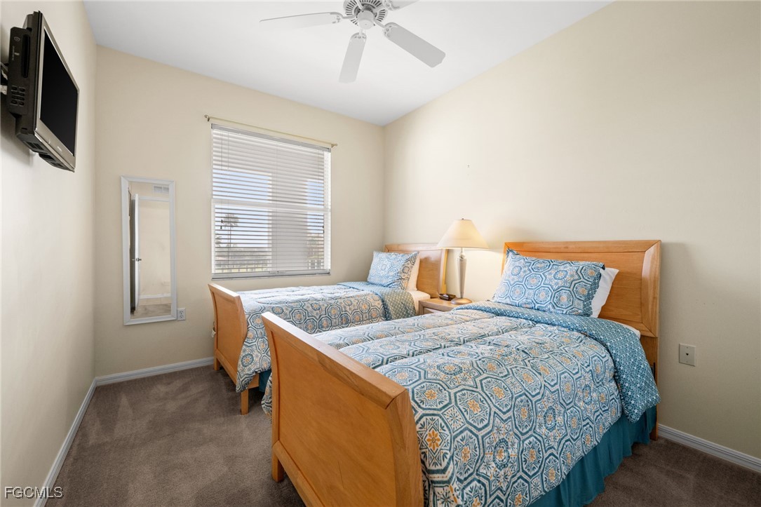 10370 Washingtonia Palm WAY 4345