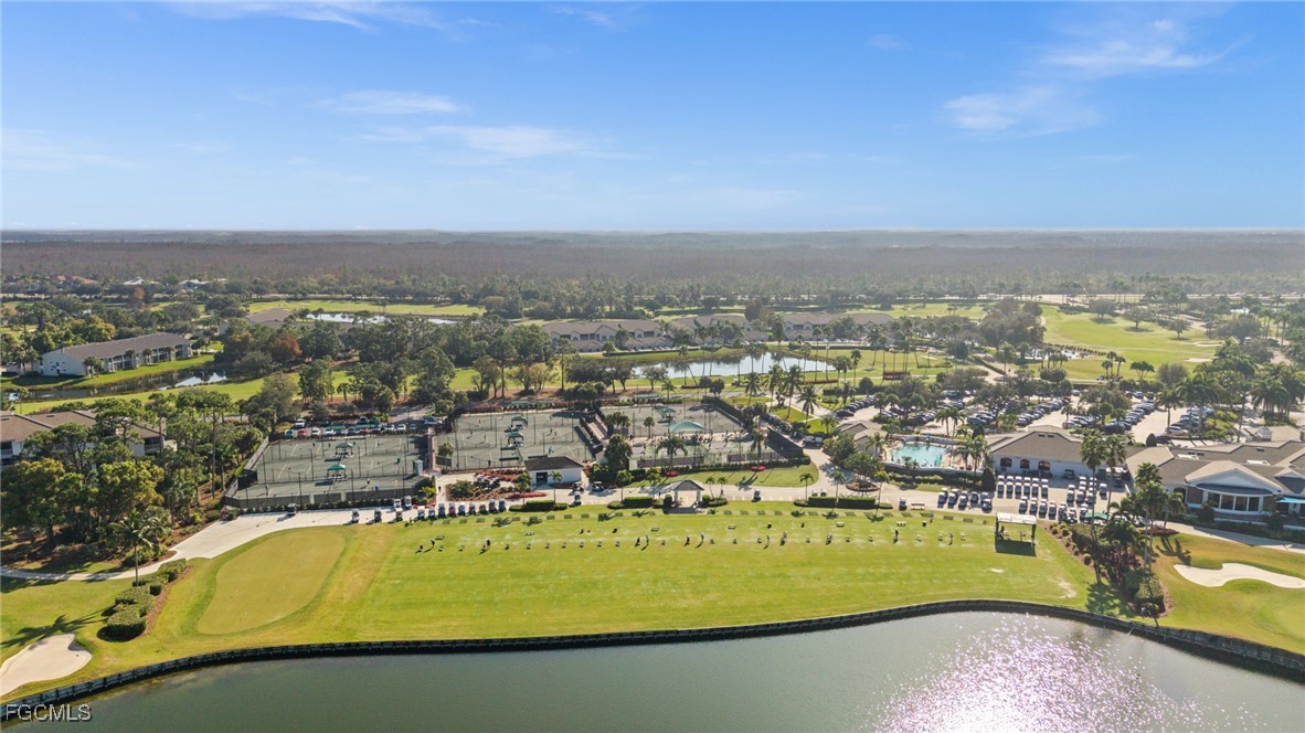 10370 Washingtonia Palm WAY 4345