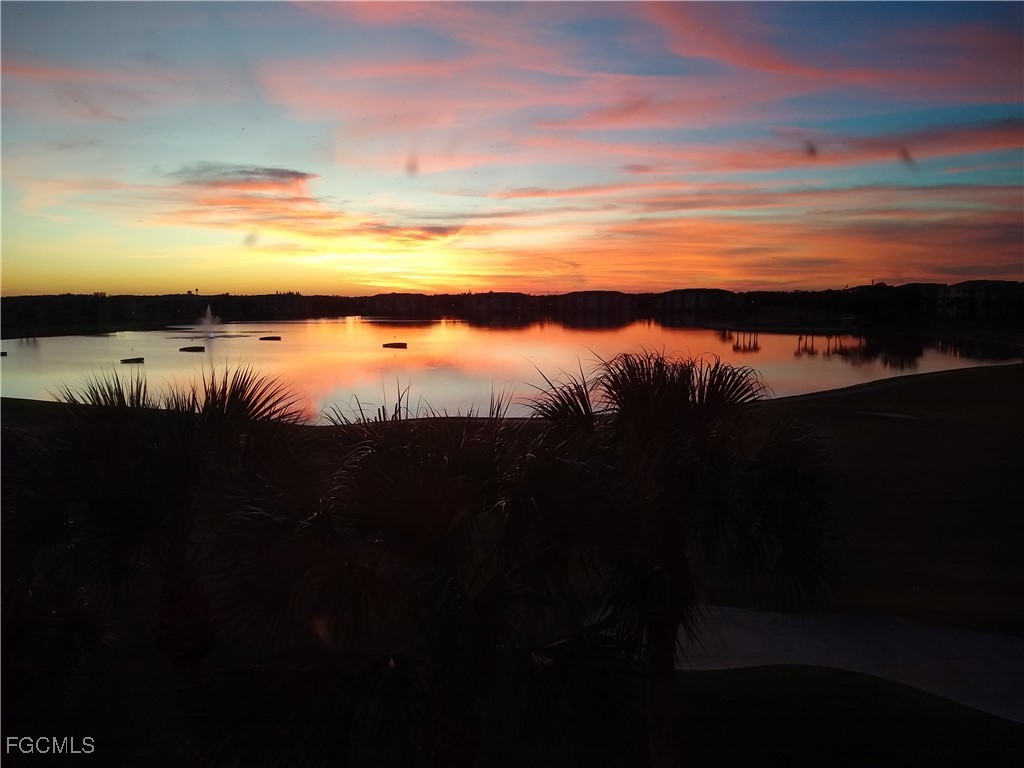 10370 Washingtonia Palm WAY 4345