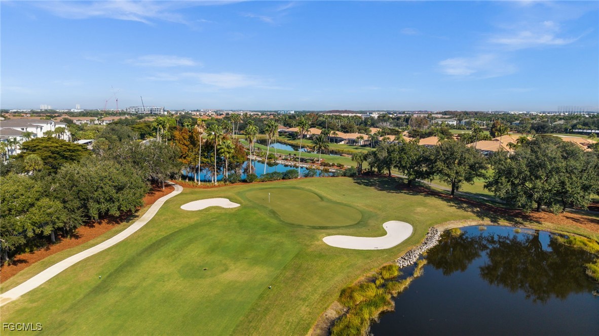 10370 Washingtonia Palm WAY 4345