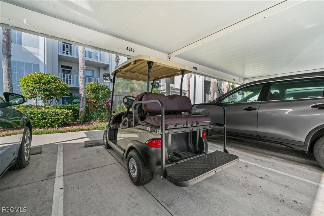 10370 Washingtonia Palm WAY 4345