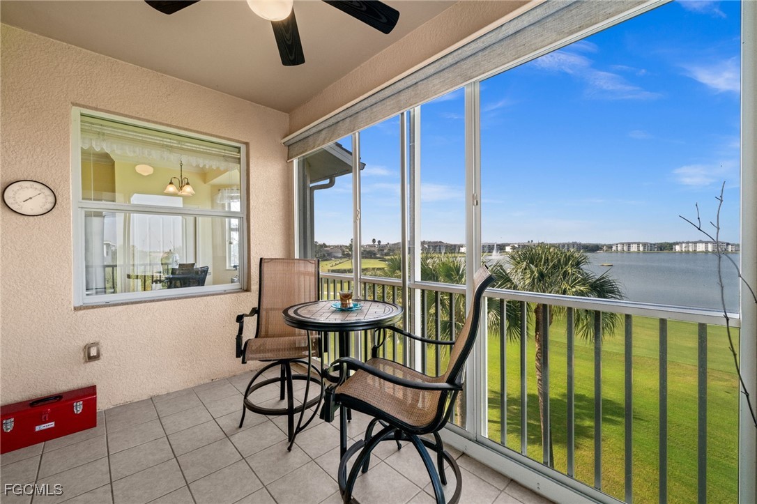 10370 Washingtonia Palm WAY 4345