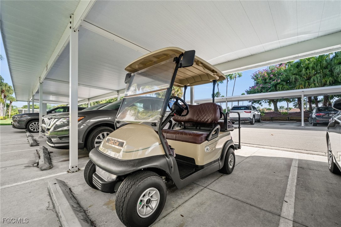 10370 Washingtonia Palm WAY 4345