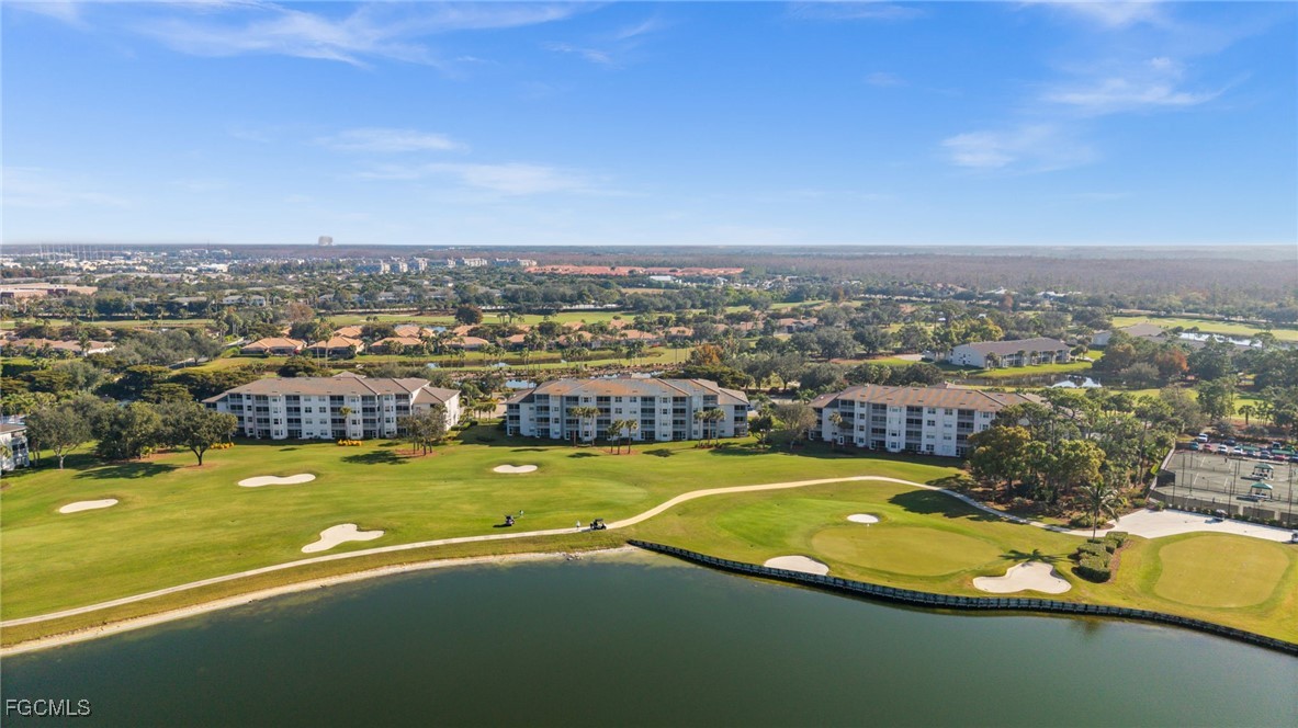 10370 Washingtonia Palm WAY 4345