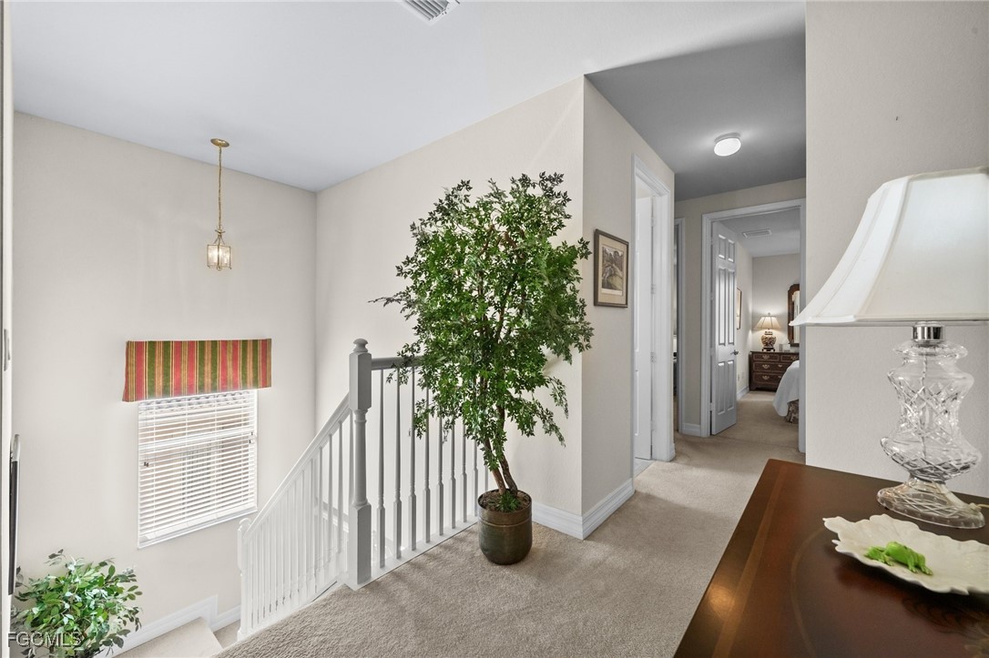 11309 Pond Cypress ST