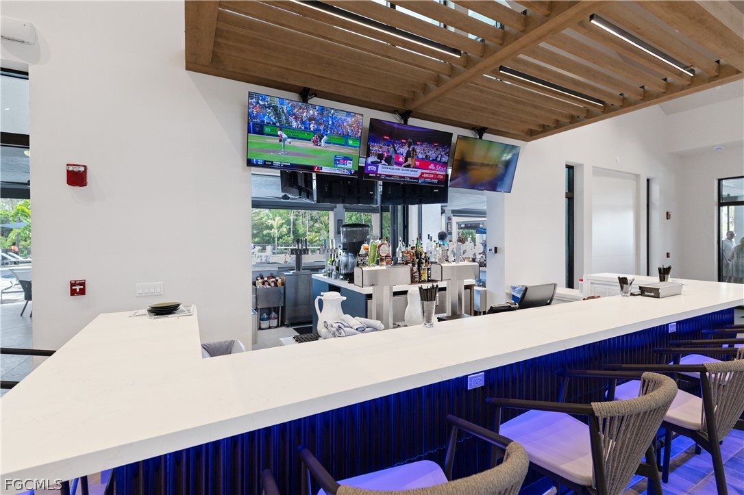 10460 Washingtonia Palm WAY 1332