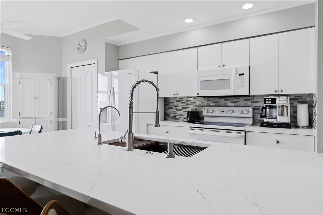 10460 Washingtonia Palm WAY 1332