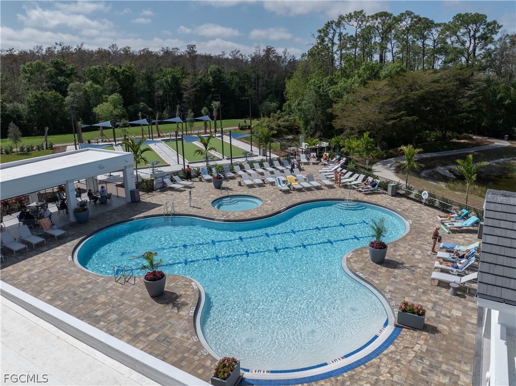 10460 Washingtonia Palm WAY 1332