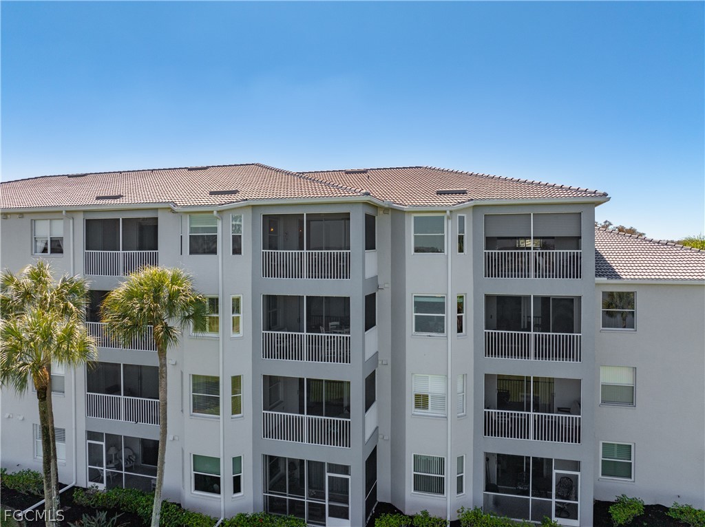 10460 Washingtonia Palm WAY 1332