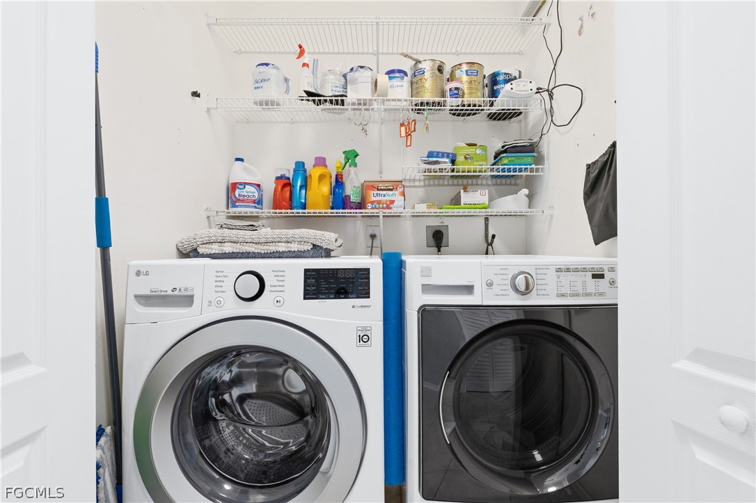 10460 Washingtonia Palm WAY 1332