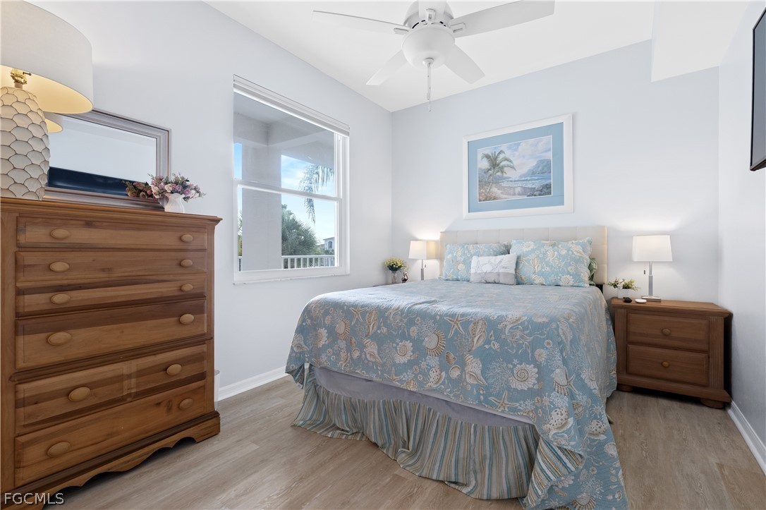 10460 Washingtonia Palm WAY 1332