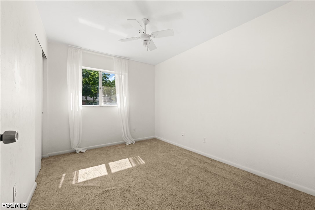 2976 Ribbon CT