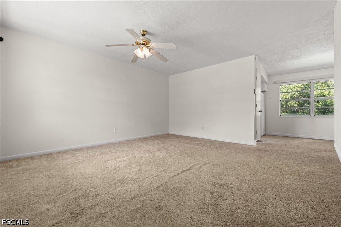 2976 Ribbon CT