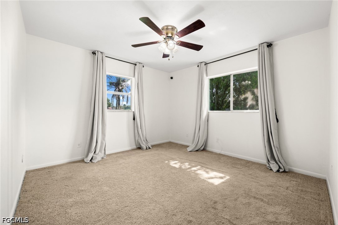 2976 Ribbon CT