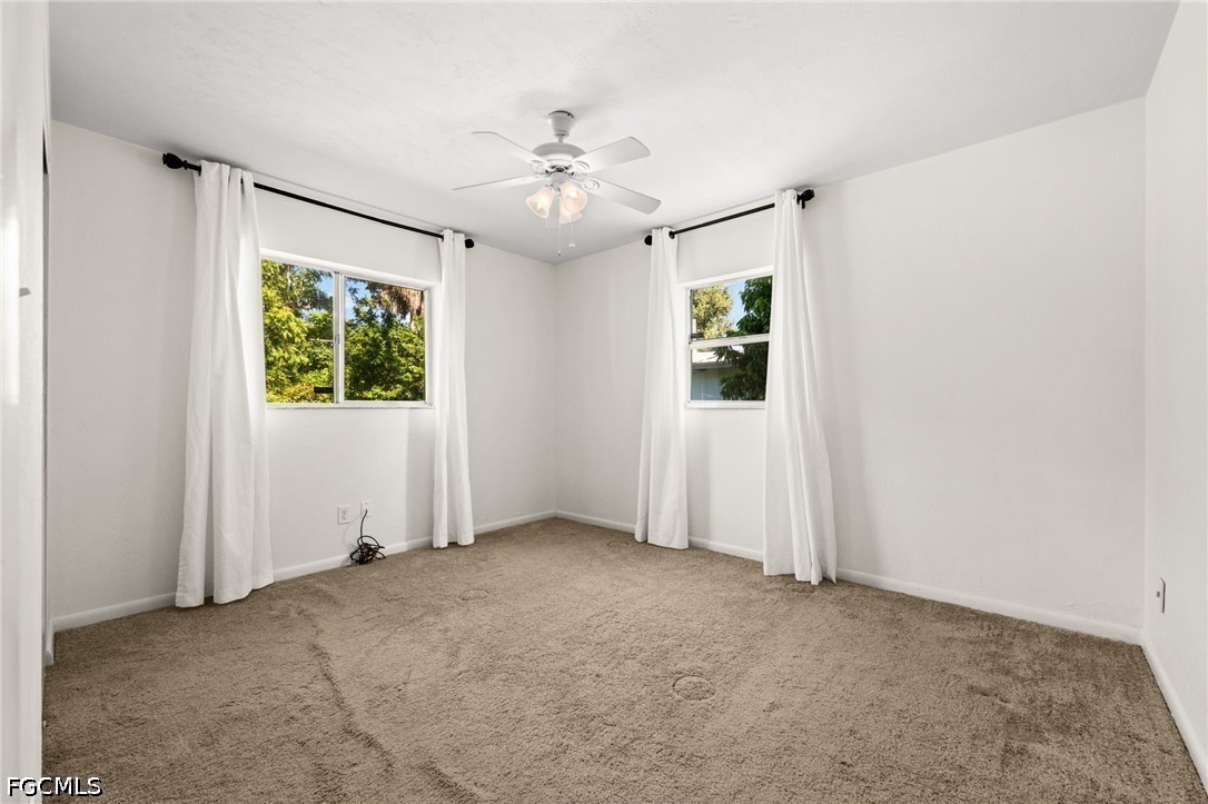 2976 Ribbon CT