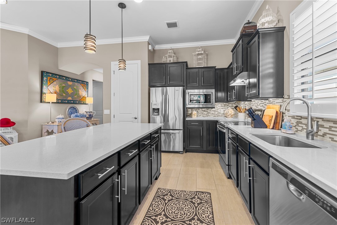 20198 Corkscrew Shores Boulevard