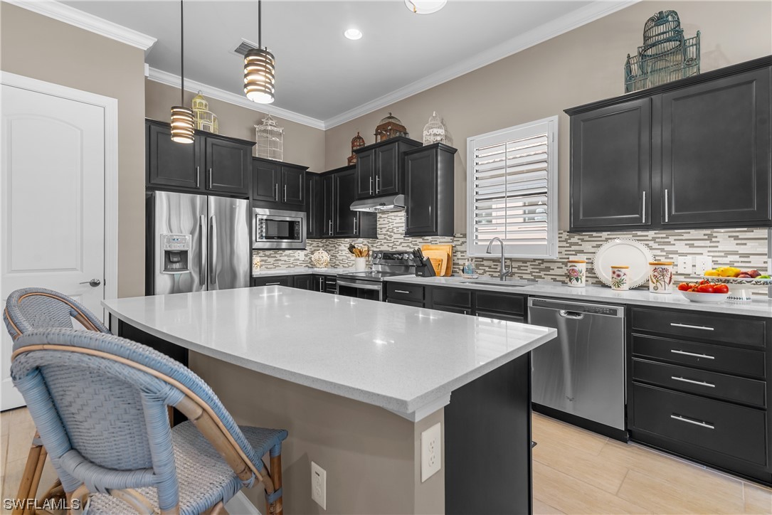 20198 Corkscrew Shores Boulevard
