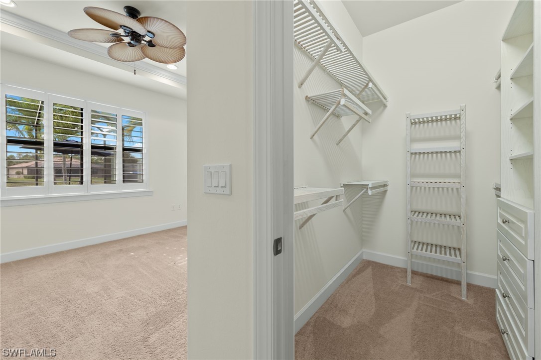 10883 Rutherford Road