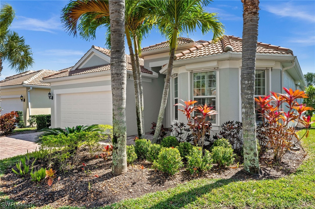 8452 Benelli CT