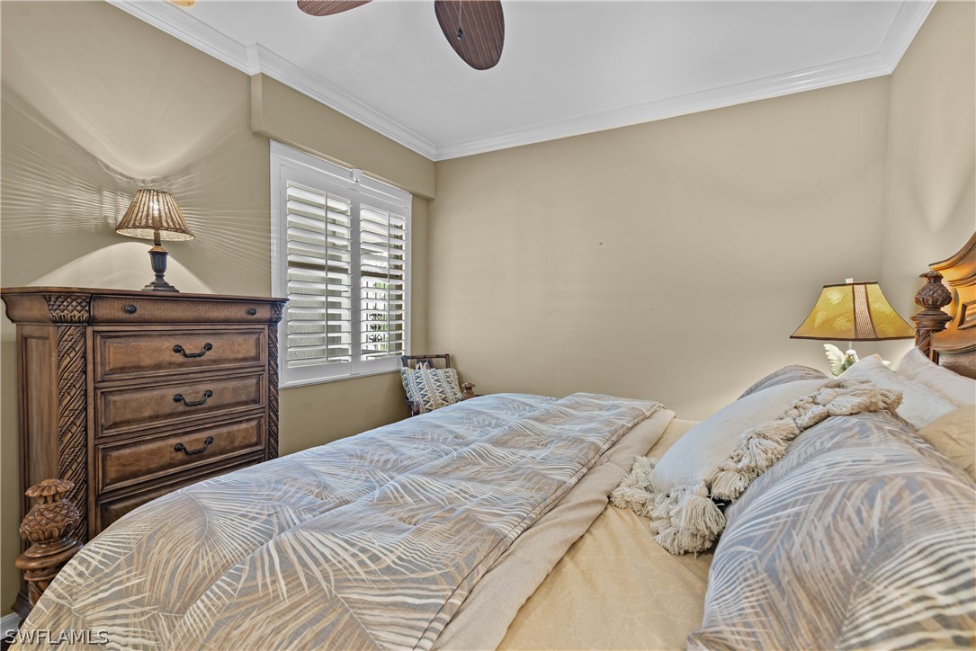 10390 Washingtonia Palm WAY 4442