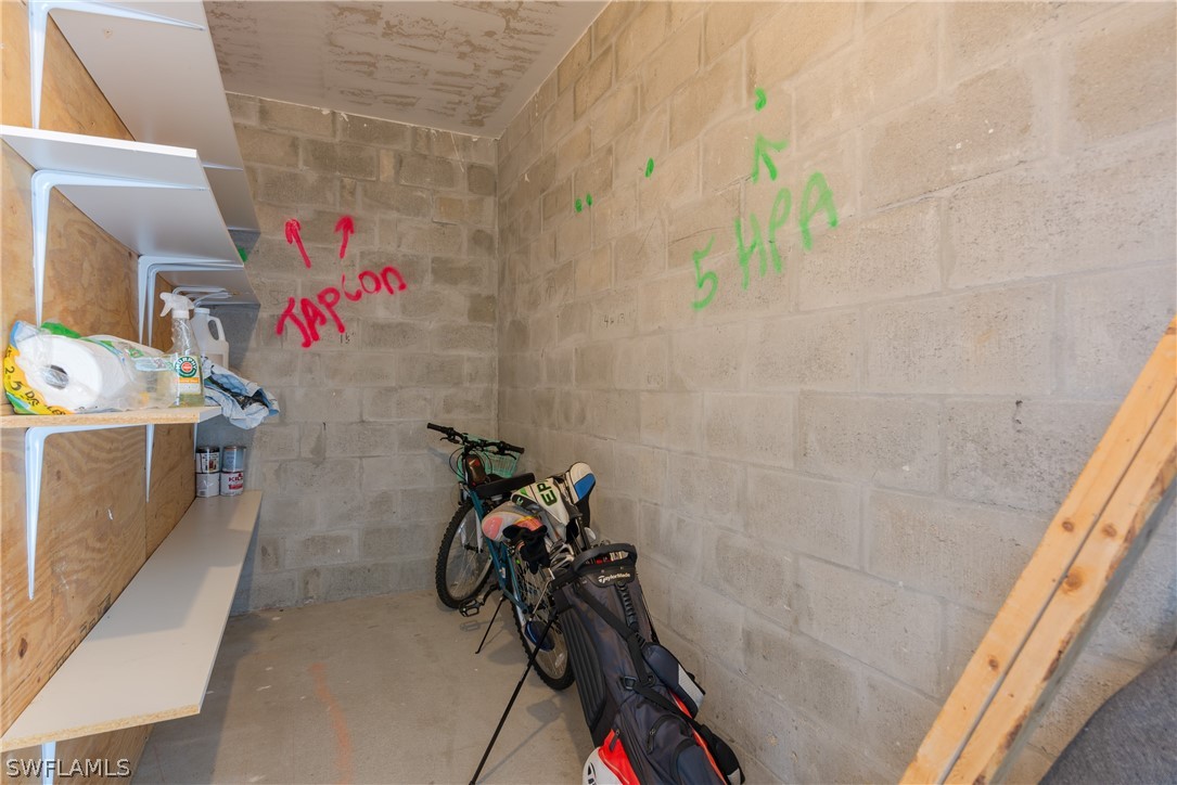 10390 Washingtonia Palm WAY 4442
