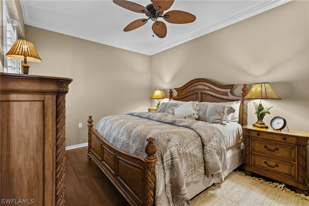 10390 Washingtonia Palm WAY 4442