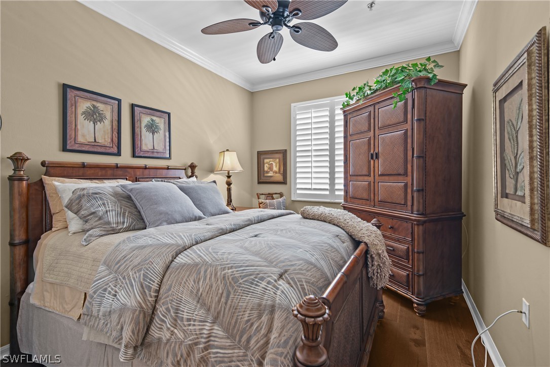 10390 Washingtonia Palm WAY 4442