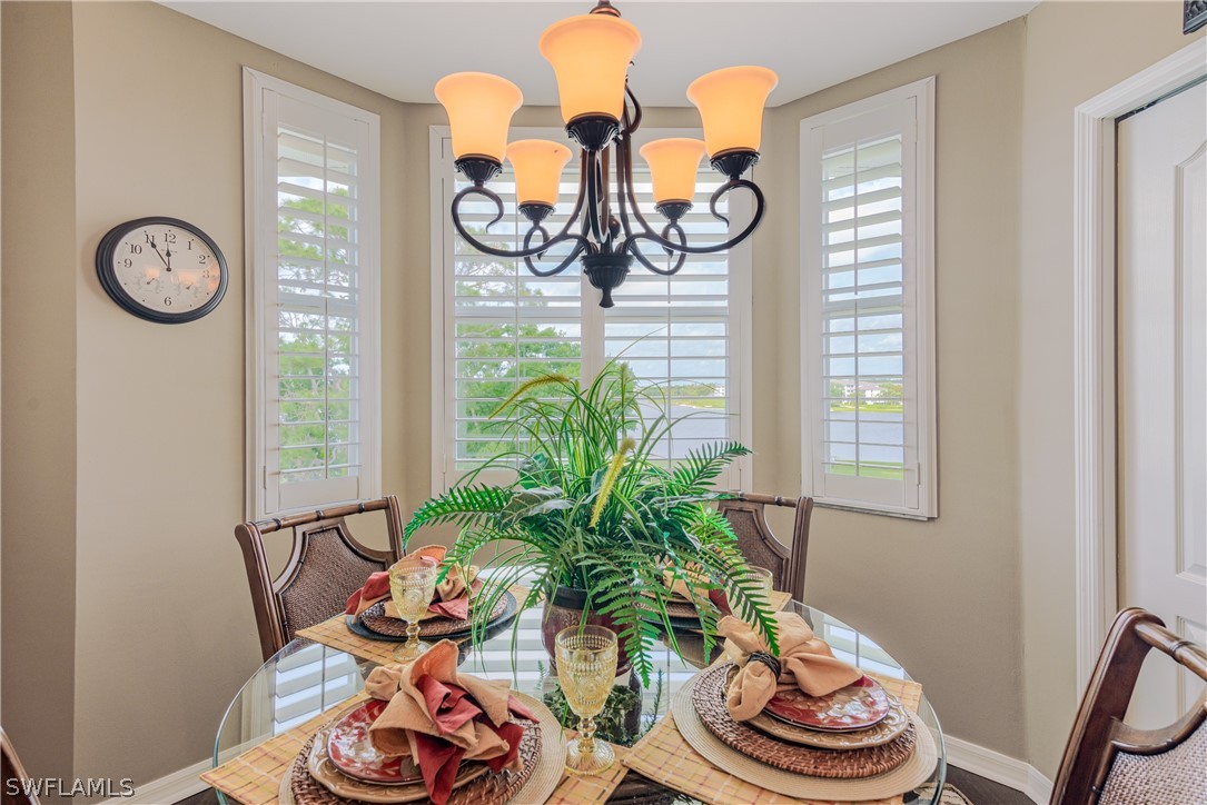 10390 Washingtonia Palm WAY 4442