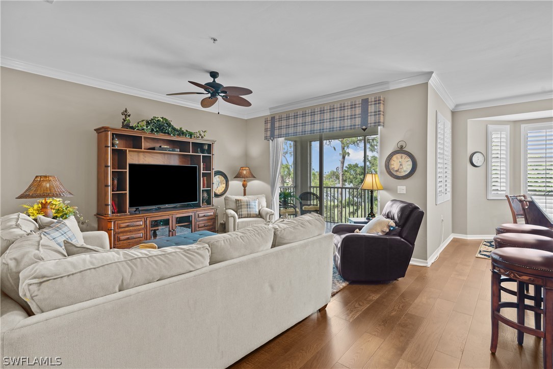 10390 Washingtonia Palm WAY 4442
