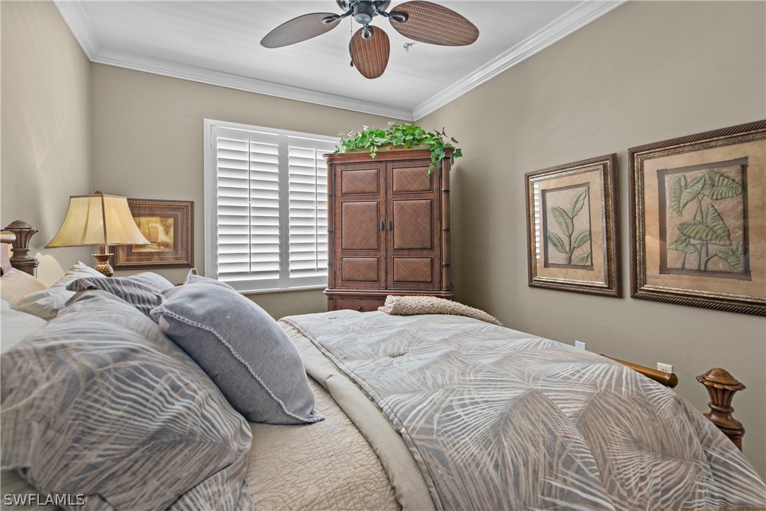 10390 Washingtonia Palm WAY 4442