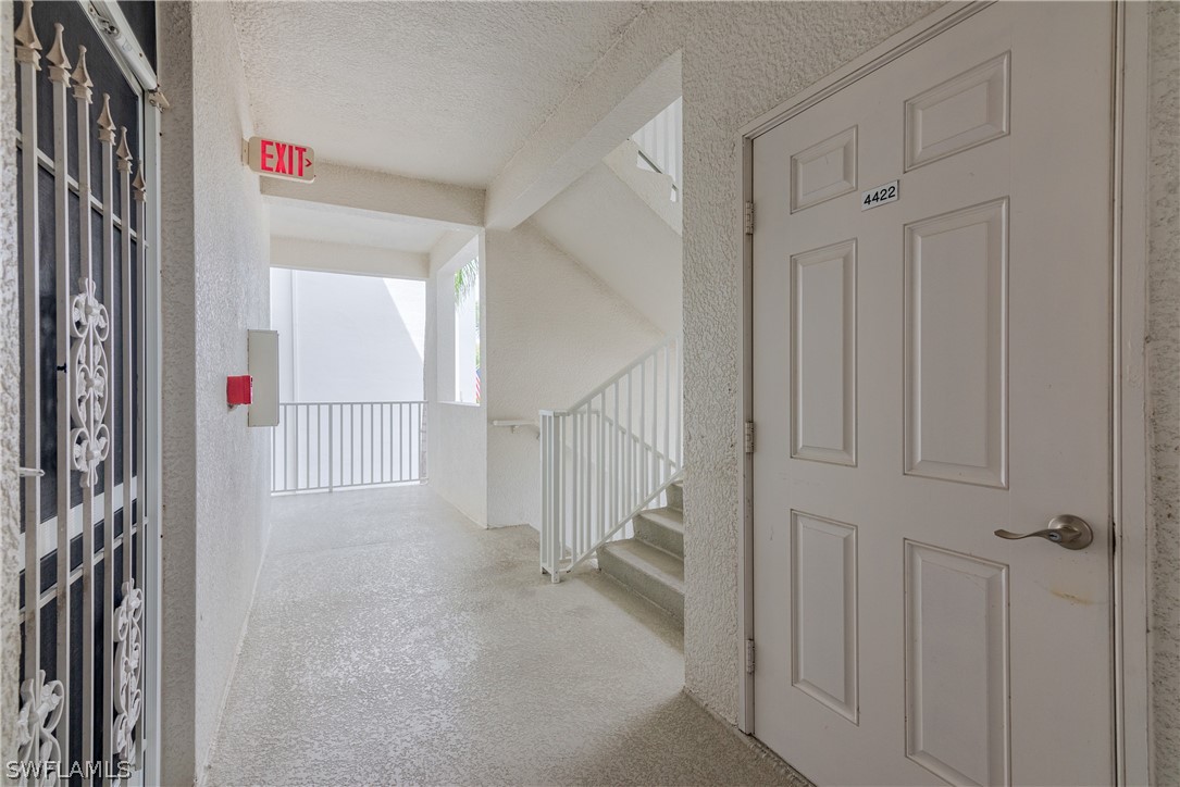 10390 Washingtonia Palm WAY 4422