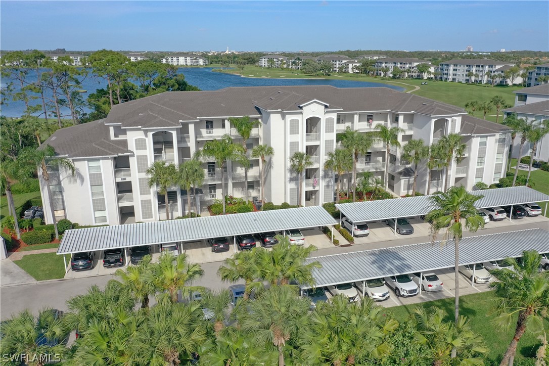 10390 Washingtonia Palm WAY 4422