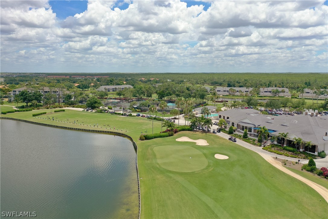 10390 Washingtonia Palm WAY 4422