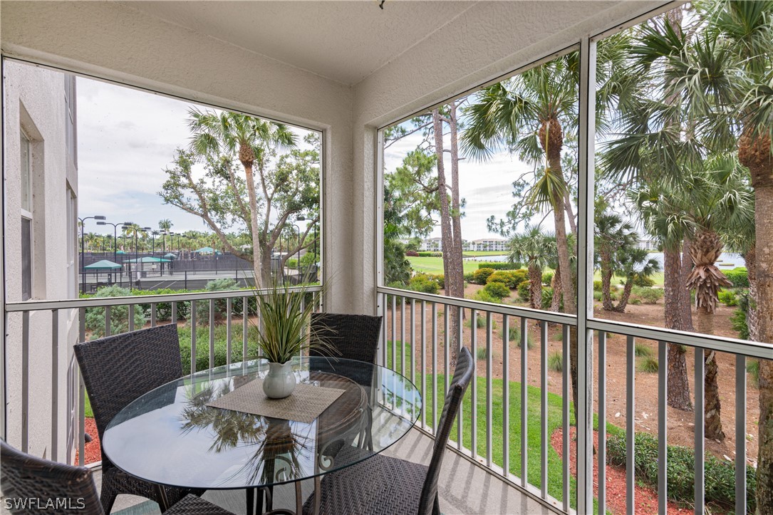 10390 Washingtonia Palm WAY 4422