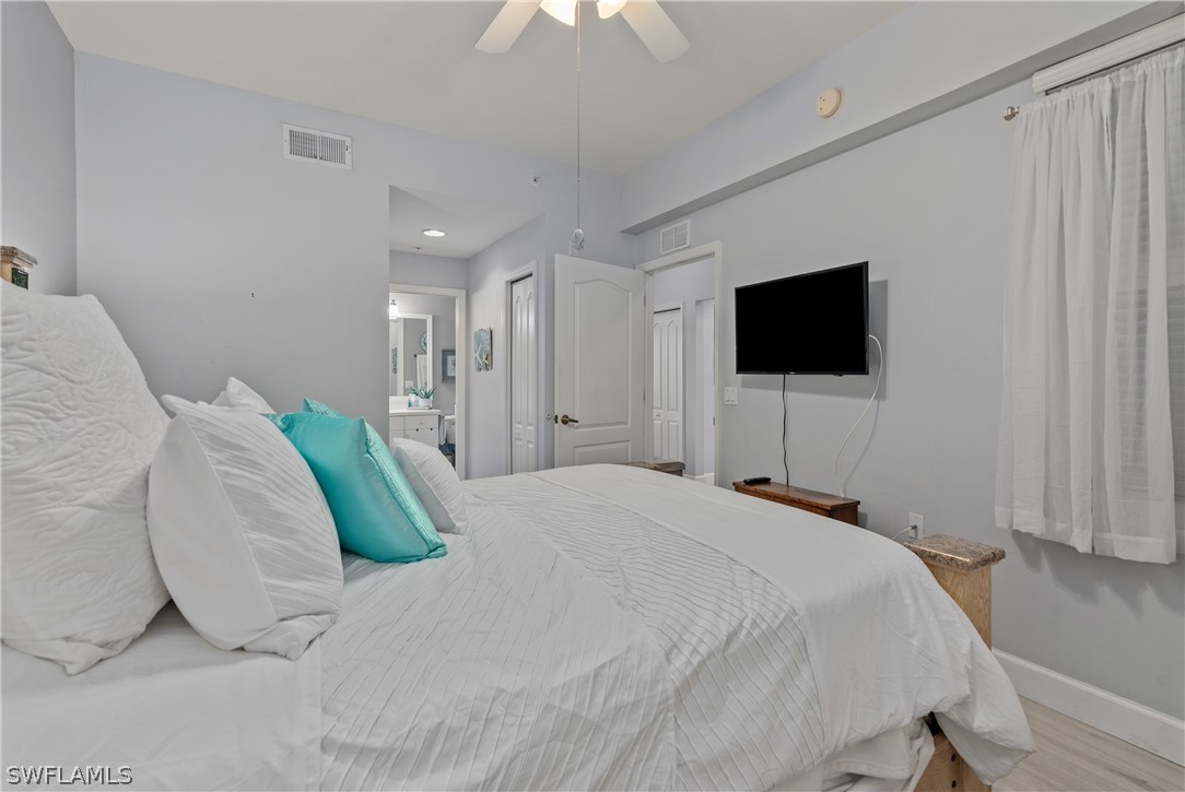 10390 Washingtonia Palm WAY 4422