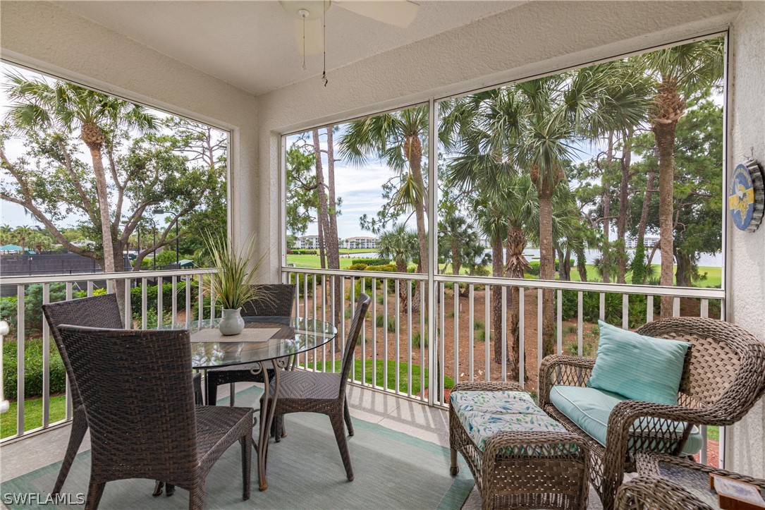 10390 Washingtonia Palm WAY 4422