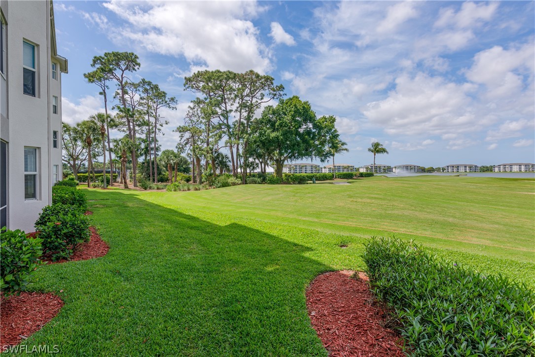 10390 Washingtonia Palm WAY 4422