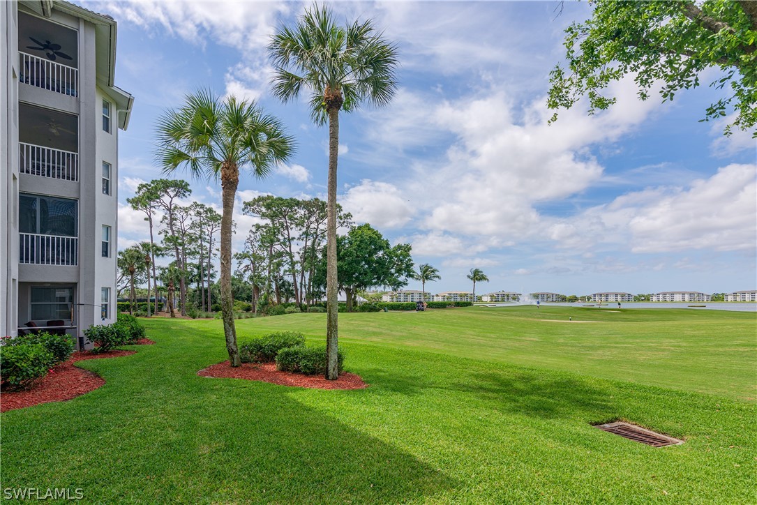 10390 Washingtonia Palm WAY 4422