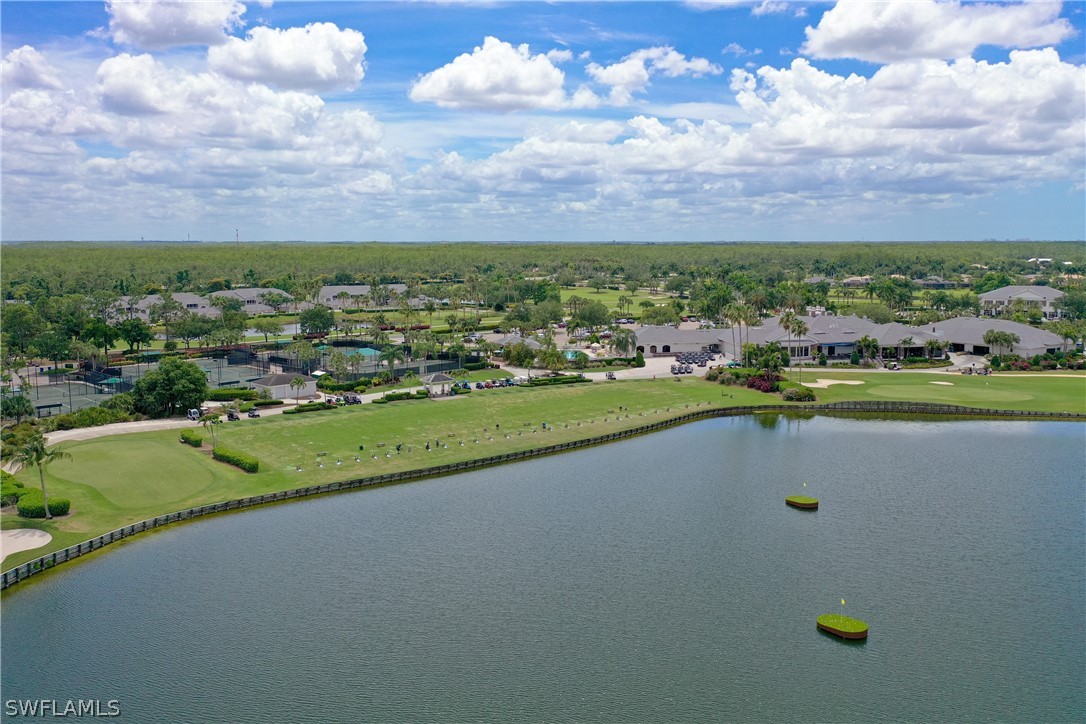 10390 Washingtonia Palm WAY 4422