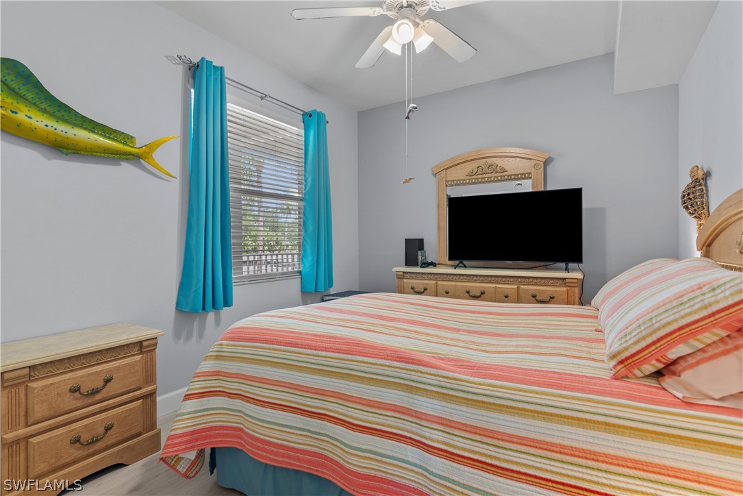 10390 Washingtonia Palm WAY 4422