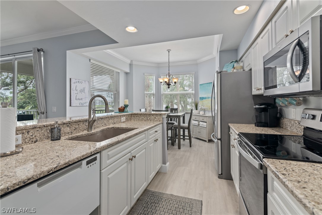 10390 Washingtonia Palm WAY 4422