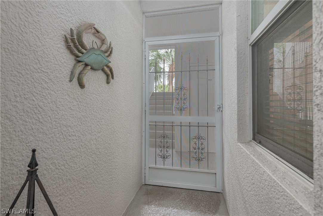 10390 Washingtonia Palm WAY 4422