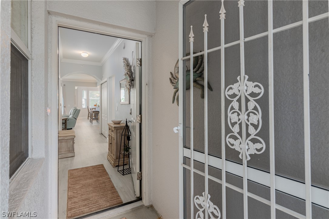 10390 Washingtonia Palm WAY 4422