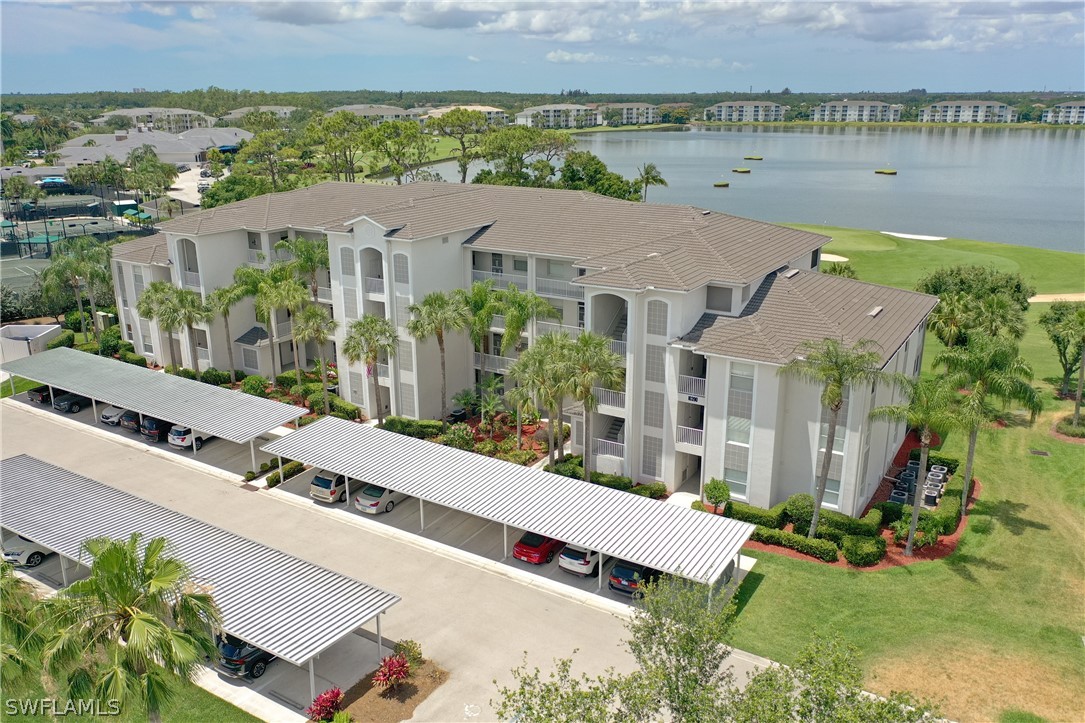 10390 Washingtonia Palm WAY 4422