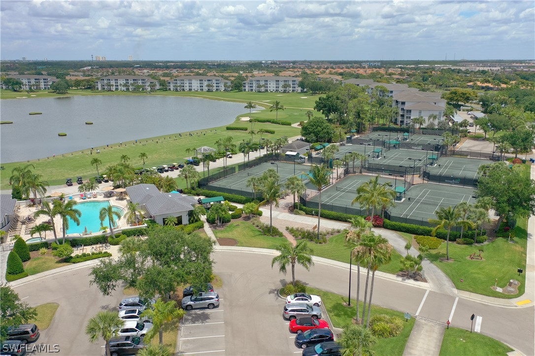 10390 Washingtonia Palm WAY 4422