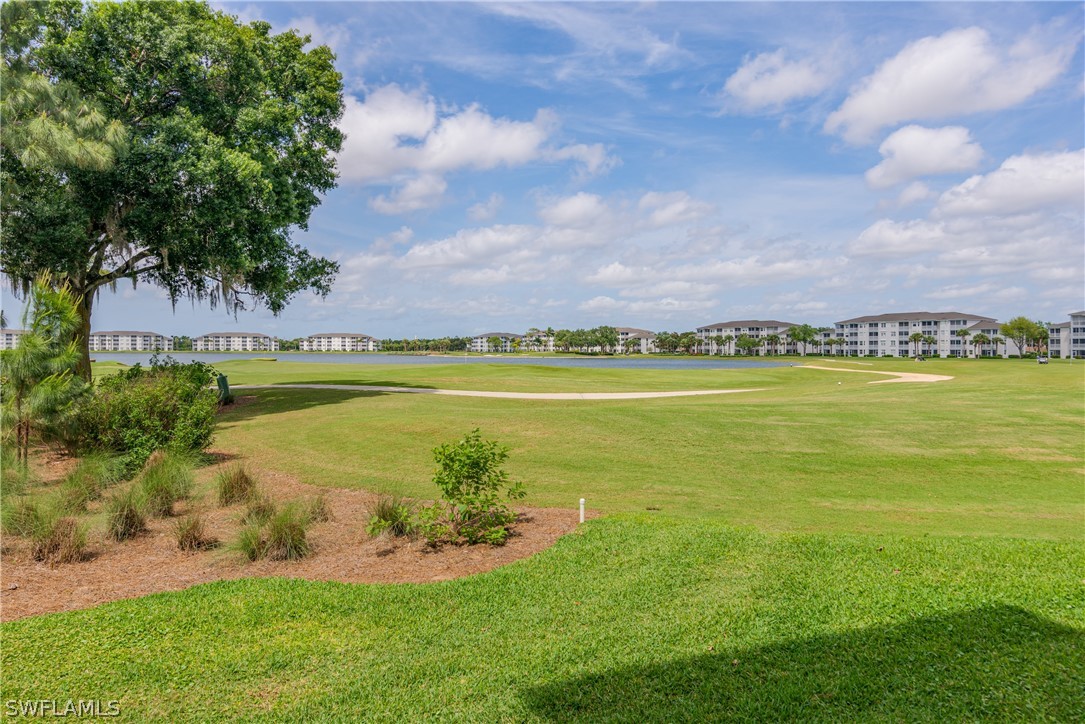 10390 Washingtonia Palm WAY 4422