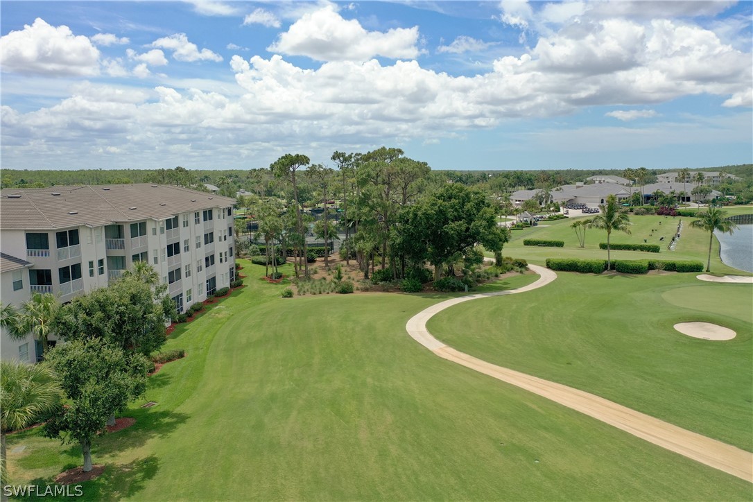 10390 Washingtonia Palm WAY 4422