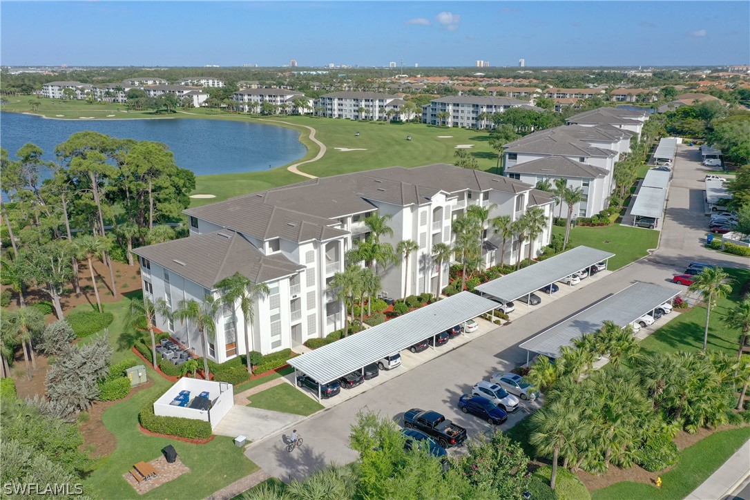 10390 Washingtonia Palm WAY 4422